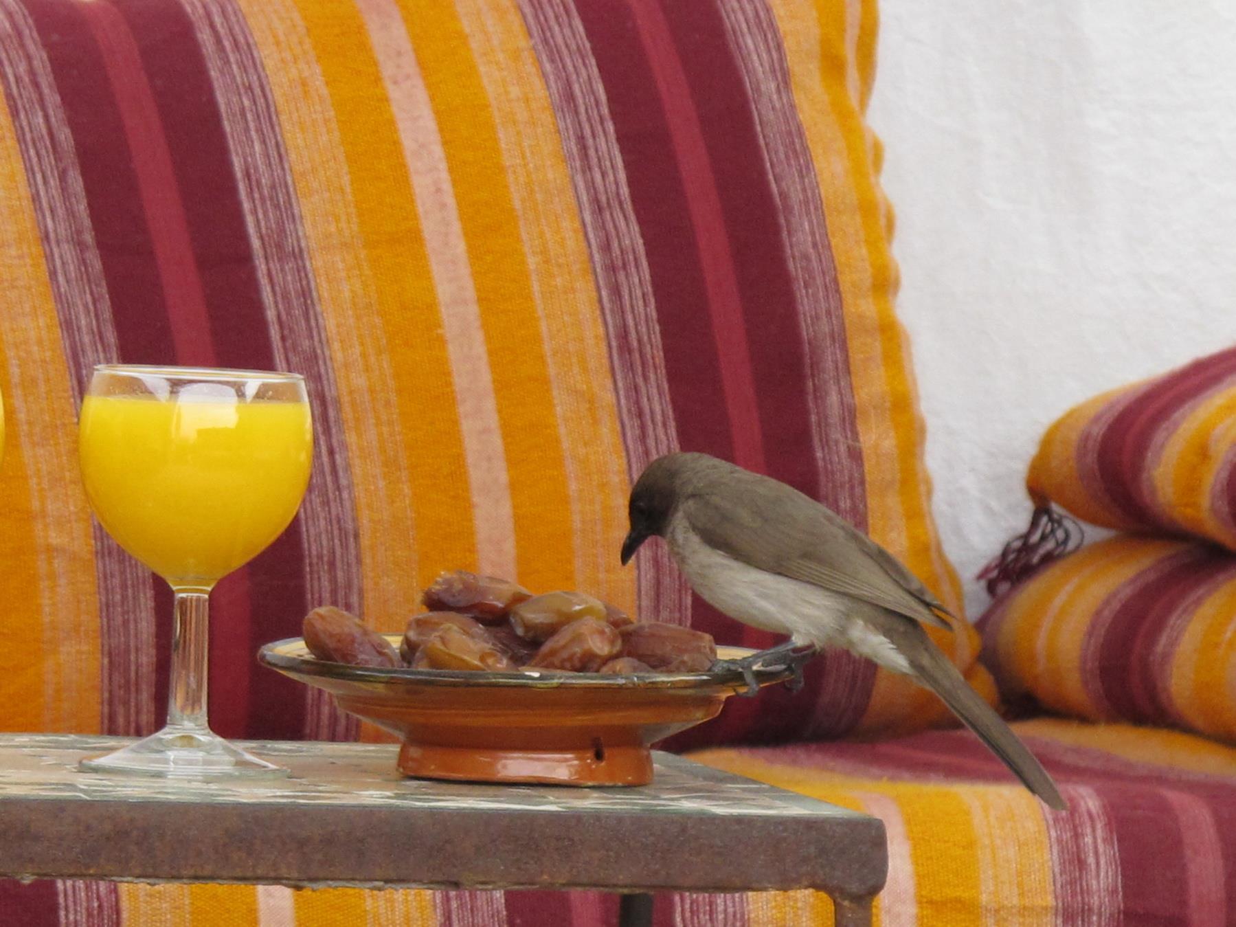 Riad Al Jana Marrakesh Ngoại thất bức ảnh