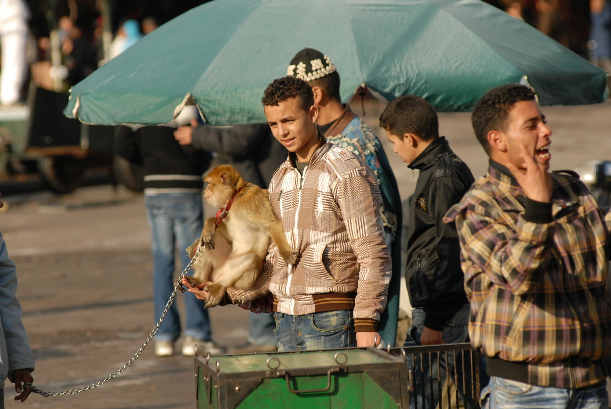 Riad Al Jana Marrakesh Ngoại thất bức ảnh