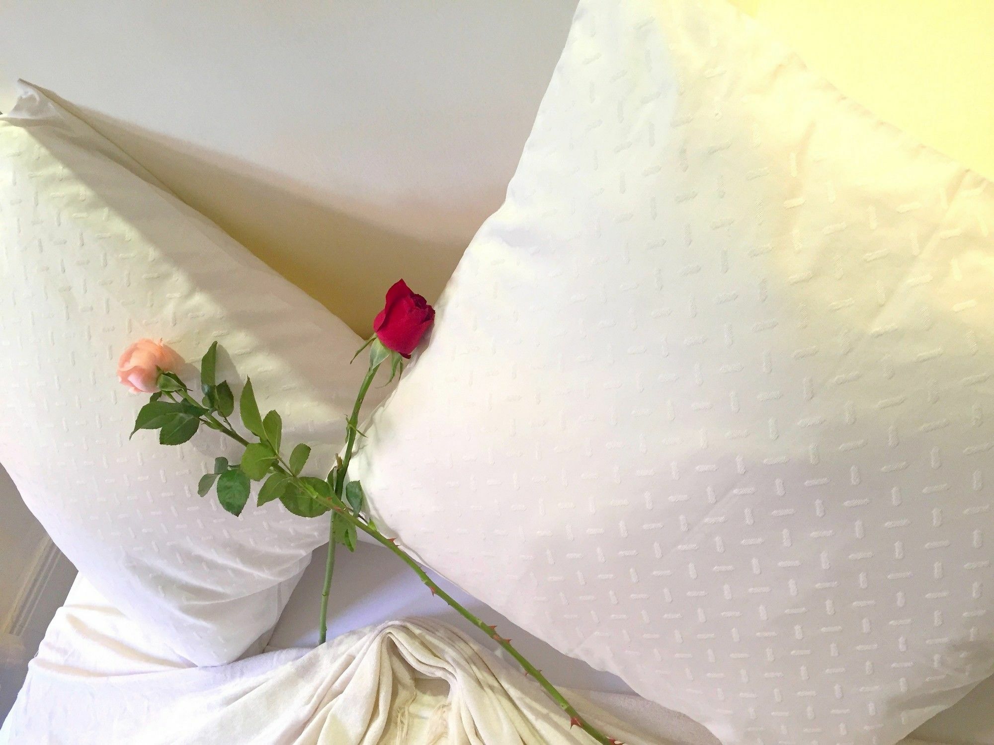Riad Al Jana Marrakesh Ngoại thất bức ảnh
